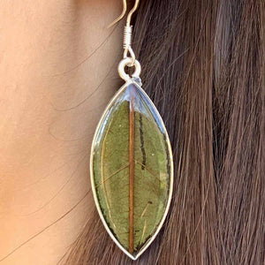 Natural Leaf Earrings